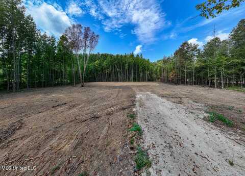 54 Shamrock Loop, Byhalia, MS 38611