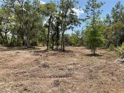 Tbd NE 69TH STREET NE, BRONSON, FL 32621