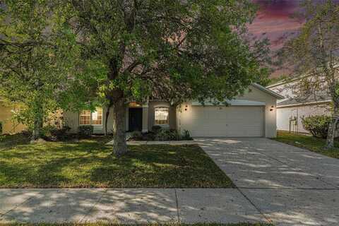 19033 TILOBE LOOP, LAND O LAKES, FL 34638