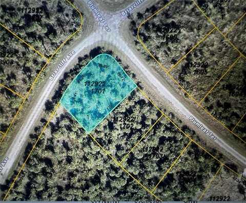 PLUMLEAF TERRACE, NORTH PORT, FL 34288