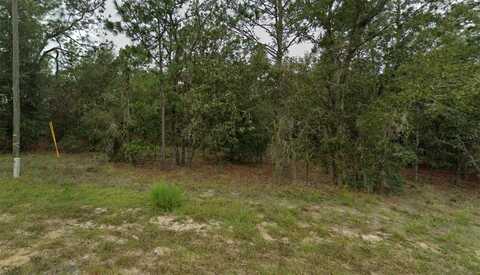 NE 154TH AVE #64, WILLISTON, FL 32696
