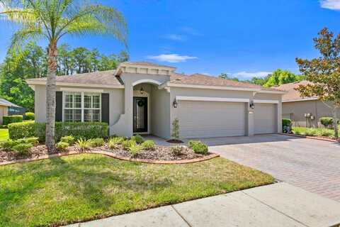 3321 MAPLERIDGE DRIVE, LUTZ, FL 33558