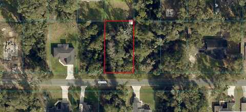 SE 123RD PLACE, BELLEVIEW, FL 34420