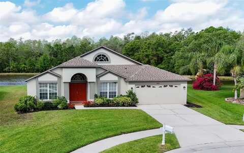 5331 VILLAGEBROOK DRIVE, WESLEY CHAPEL, FL 33544
