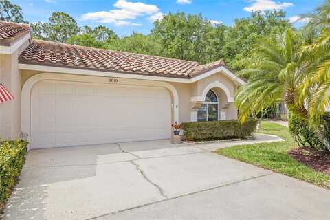 3810 DARSTON STREET, PALM HARBOR, FL 34685