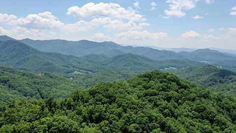 11 Treetop, HAYESVILLE, NC 28904
