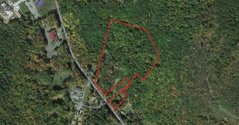 0 Ferndale Loomis Road, Liberty, NY 12754