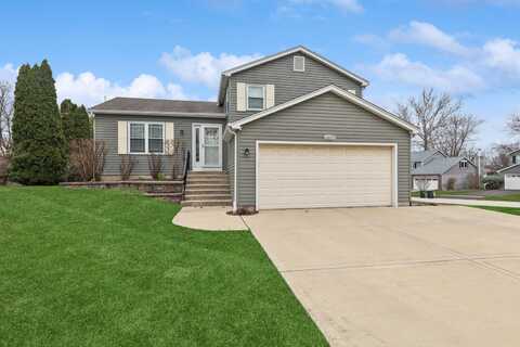 6609 Oak Tree Trail, Woodridge, IL 60517