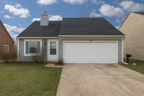 22444 Adams Drive, Richton Park, IL 60471