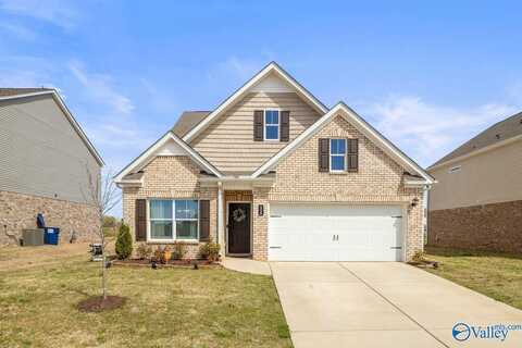 116 Mill View Drive, New Market, AL 35761