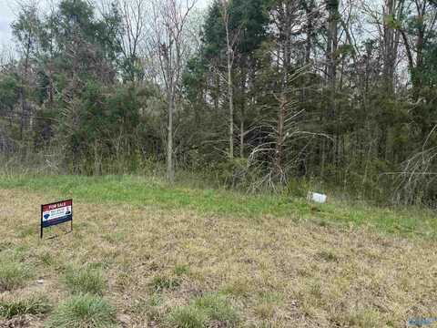 2 Acres Al Hwy 36, Danville, AL 35619