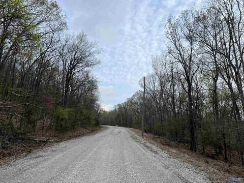 3.6 Acres Lewis Mountain Road, New Market, AL 35761