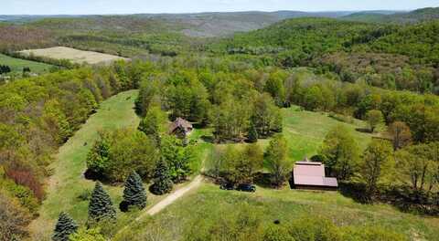 651 Dennis Hill Rd, Ulysses, PA 16915