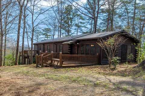 1164 Dividing Ridge Road, Mineral Bluff, GA 30559