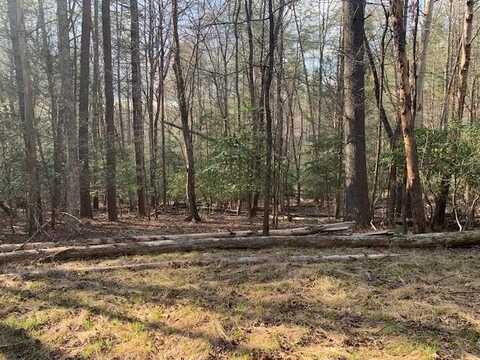 Lot 12 Mountain Creek Road, Blue Ridge, GA 30513