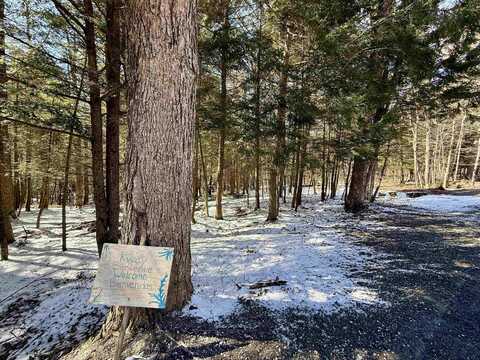 TBD Plot Road, Johnson, VT 05656