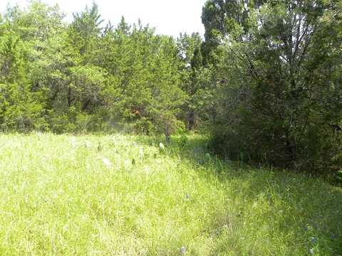 1303 Ash Court, Whitney, TX 76692