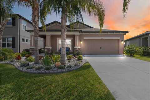 11405 ALACHUA CREEK LANE, RIVERVIEW, FL 33579