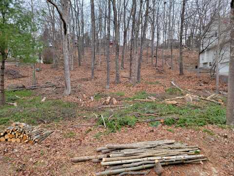 Lot 40 Chip Court, East Stroudsburg, PA 18302