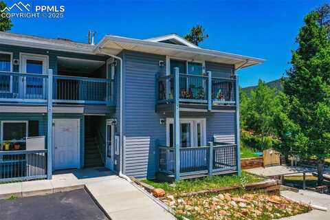 222 N Laurel Street, Woodland Park, CO 80863