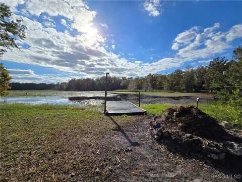 6010 N Tsala Apopka Dr, Hernando, FL 34442