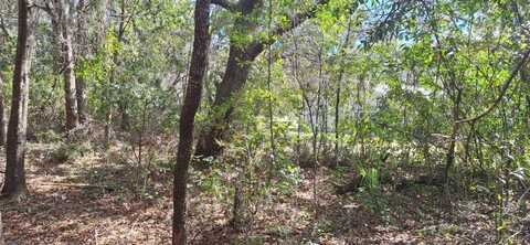 6600 N Pagoda Tree Terrace, Hernando, FL 34442