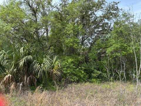 5831 W Dunnellon Road, Dunnellon, FL 34433