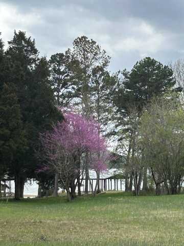 undefined, Spring City, TN 37381