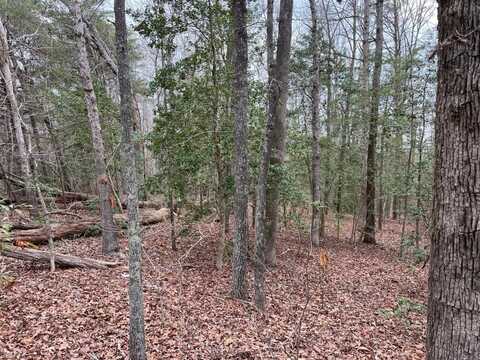 Road, Toano, VA 23168