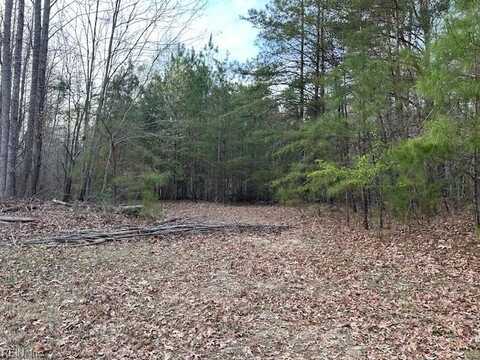 9789 Honey Tree Court, Gloucester, VA 23061