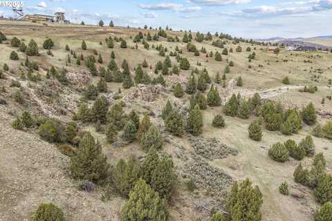 0 Blue Gulch RD, Canyon City, OR 97820