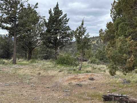 9-2 Lot 187 Pawnee Rock, Weed, CA 96094
