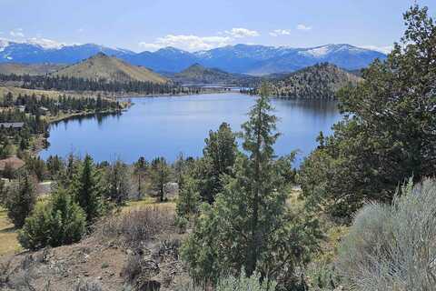 Lot 255 Stag Mountain, Weed, CA 96094