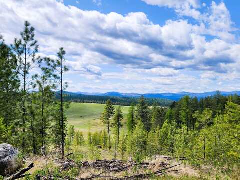 3669 E Jump off Joe Rd, Valley, WA 99139