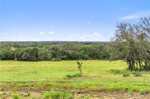 1422-32 Ranch to Market 2766, Johnson City, TX 78636