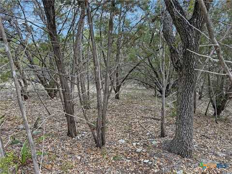 1081 Dog Leg Lane, Spring Branch, TX 78070