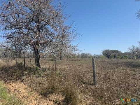 2162 County Road 429, Stockdale, TX 78160