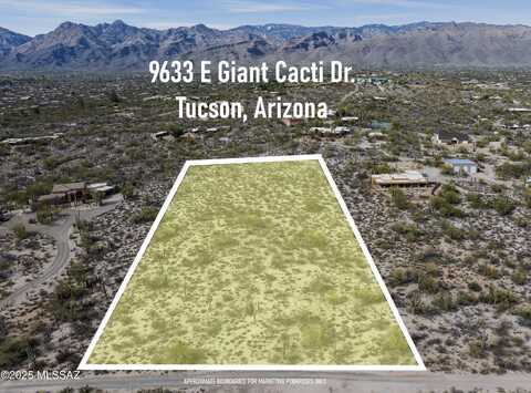 9633 E Giant Cacti Drive, Tucson, AZ 85749