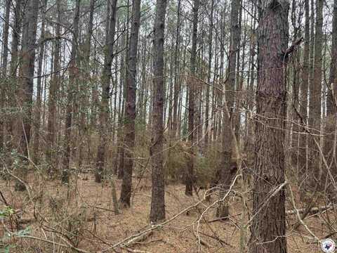 TBD Easement Rd CR 2923, Hughes Springs, TX 75656