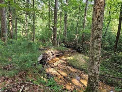 Lot 82 Tbd Mcintosh Drive, Lowgap, NC 27024