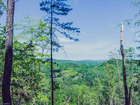 0 Hawkins Grove Road, Mc Grady, NC 28649