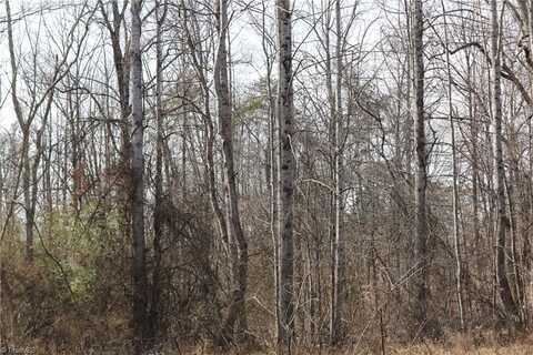 0 Jones Chapel Road, Reidsville, NC 27320