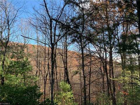 Tbd (lot 1) Dugger Firetower Road, Lenoir, NC 22864