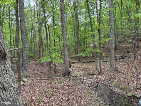 81 BRANDY ROAD, FRONT ROYAL, VA 22630