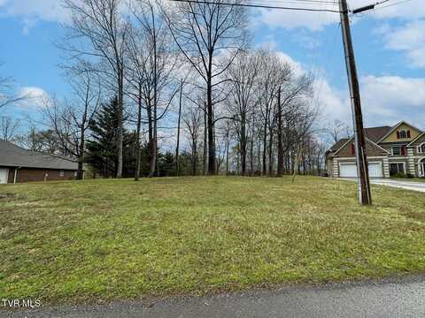 0 David Swann Drive, Dandridge, TN 37725