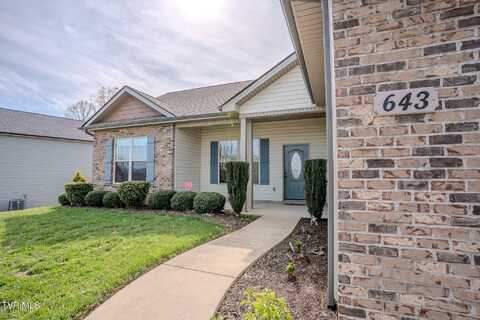 643 Birds Eye View, Jonesborough, TN 37659