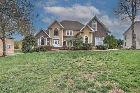 1005 Willows Trace Drive, Johnson City, TN 37601
