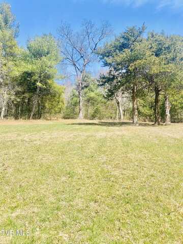 20 Vineyard Valley Drive, Butler, TN 37640