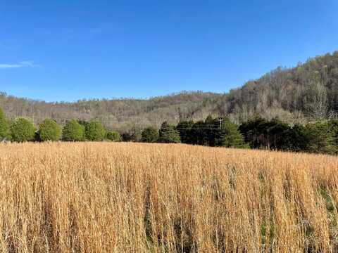ROCKY POINT RD, COOKEVILLE, TN 38506
