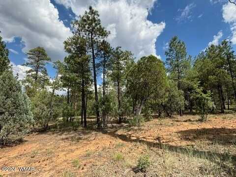 2341 Pinegrass Road, Show Low, AZ 85901